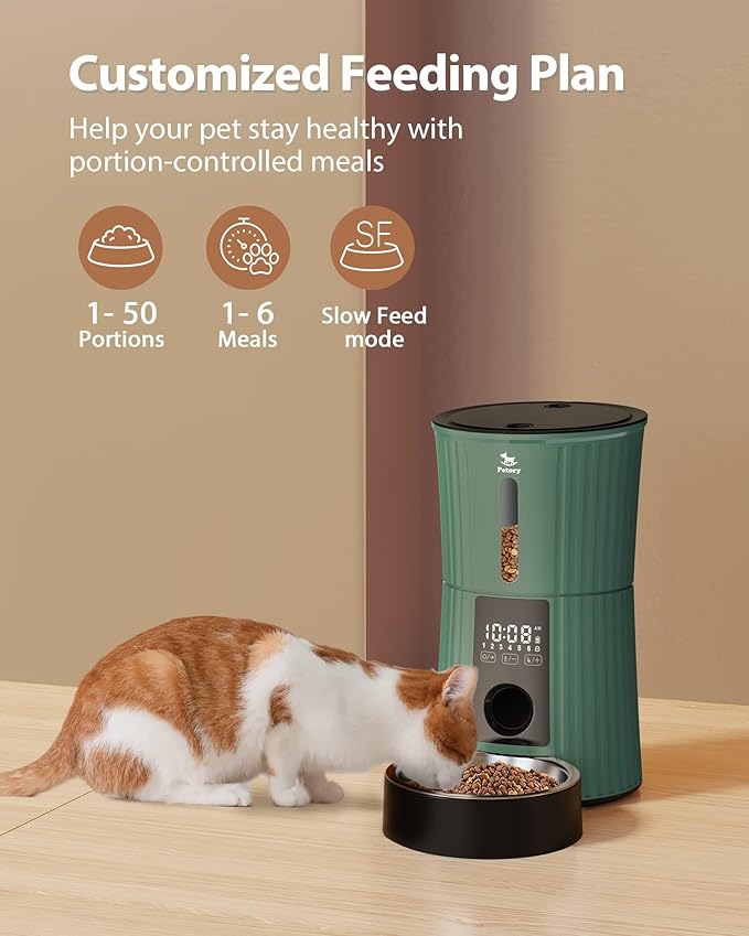 Petory Timed Automatic Cat Feeders - 4L Programable Dry Food Dispenser for Cats and Small Medium Dogs 6 Meals with Desiccant Bag Dual Power Supply 10S Voice Recorder