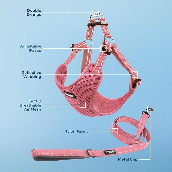 Best Pet Supplies Voyager Adjustable Step-in Flex Breathable Mesh Dog Harness for Small Medium Large Dogs Leash Set (Pink), S