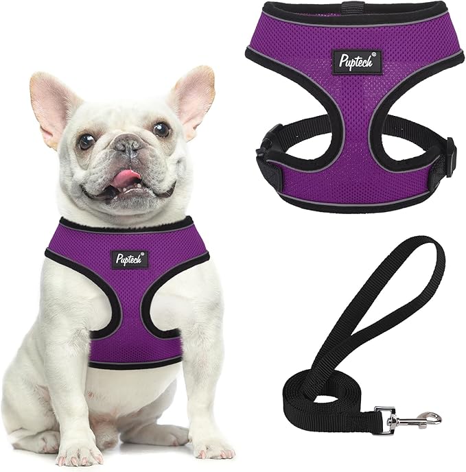 PUPTECK Soft Mesh Dog Harness and Leash Set Pet Puppy Cat Comfort Padded Vest No Pull Harnesses, Solid Purple, S