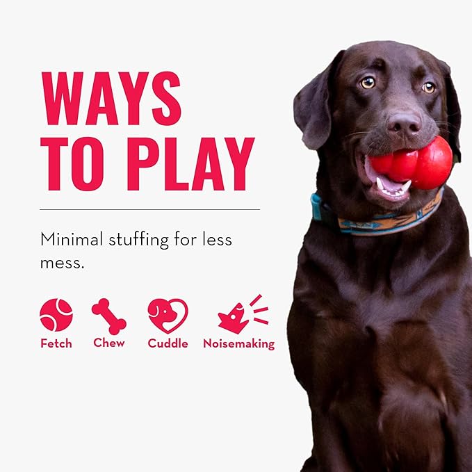KONG - Wild Knots Bear - Internal Knotted Ropes and Minimal Stuffing for Less Mess - for Small/Medium Dogs (Assorted Colors)