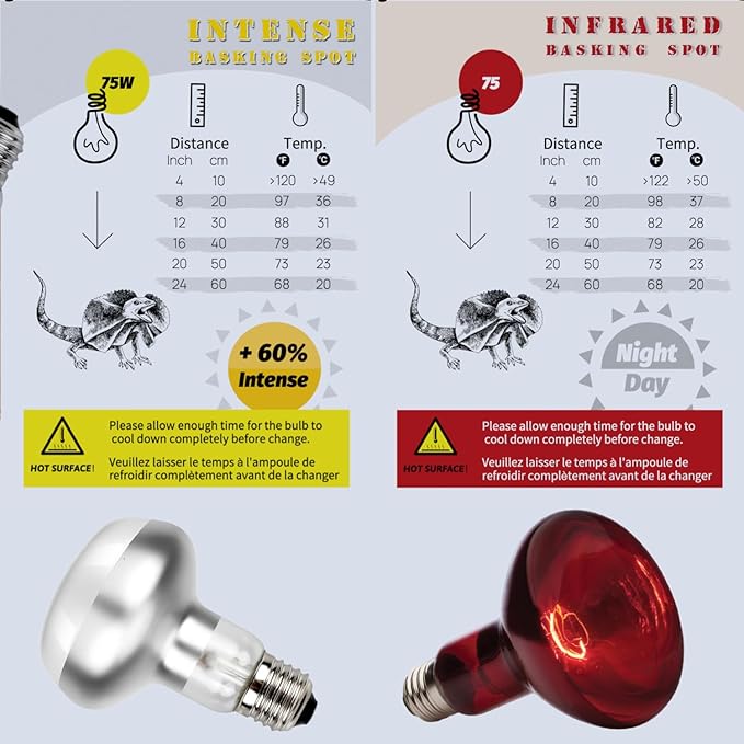 Reptile Heat Lamp, 2 Pack 75W Intense and Infrared Basking Bulbs Light for Reptiles, UVA Daylight Night Red Basking Light for Bearded Dragon, Lizard, Gecko,Reptile Heat Bulb
