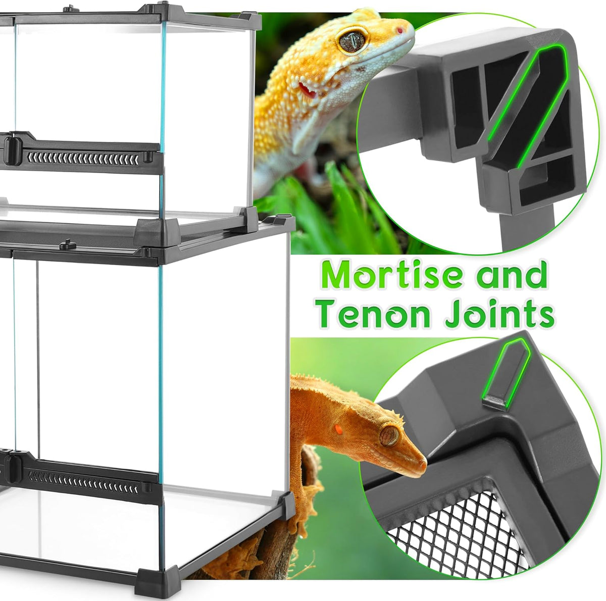 Mini Reptile Glass Terrarium 12"x8"x8" Durable Reptile Habitat Tank with Heat Resistant Aluminum Alloy Frame, Double Swinging Doors for no Jam by Sand and Other Debris