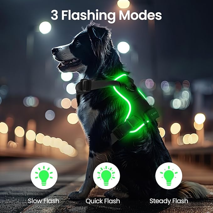 Light Up Dog Harness,Reflective Pet Harness Rechargeable,Led Dog Vest Harness for Night Walking,Adjustable Dog Safety Vest for Small Medium Large Dogs-No Pull,Black,L