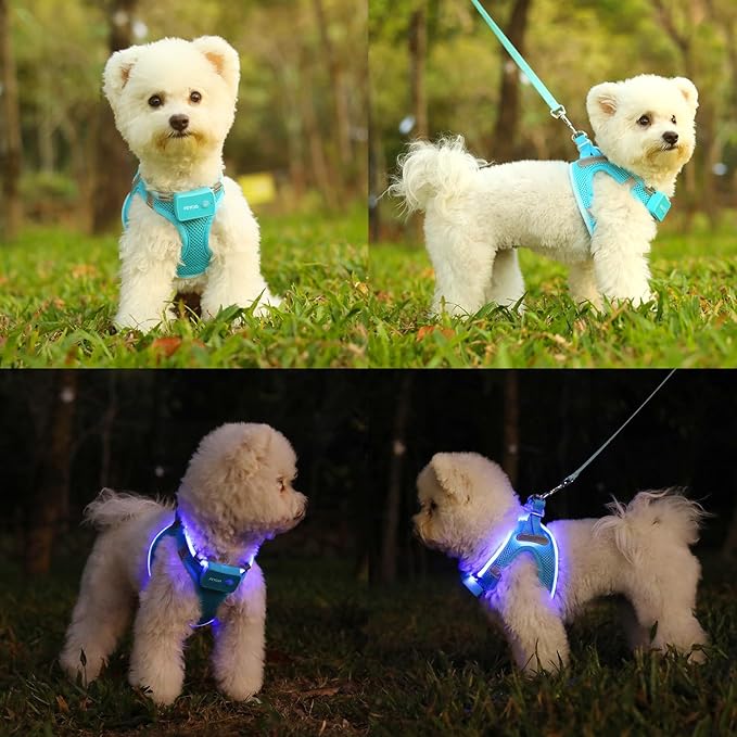Light Up Dog Harness,Rechargeable LED Dog Harness for Small Medium Large Dogs,Reflective Lighted Safety Vest for Night Walking & Camping,Lightweight & Adjustable,Blue,L