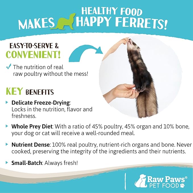 Raw Paws Freeze Dried Ferret Food - Chicken Recipe 16-oz - Made in USA - Grain Free Diet for Small, Adult, Senior & Baby Ferrets - Use as Treats for Rewarding & Training, Ferret Food Dry