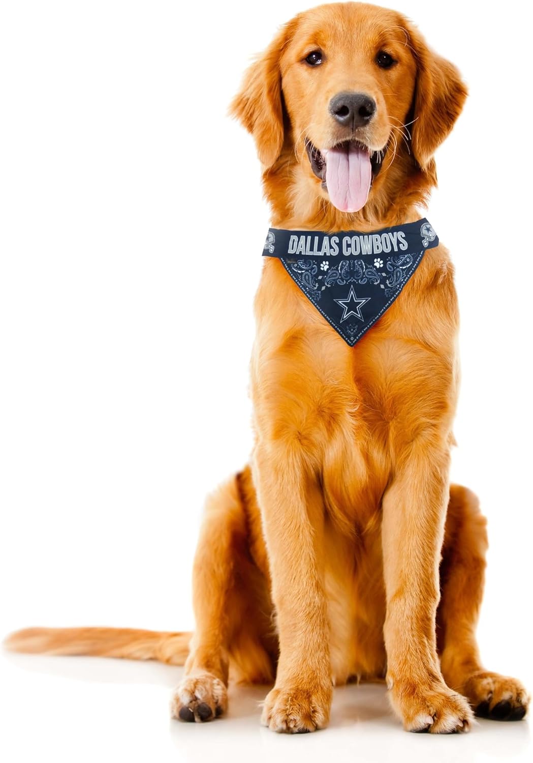 Littlearth NFL Pet Bandana - Reversible