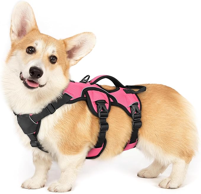 rabbitgoo Escape Proof Dog Harness, Soft Padded Full Body Pet Harness, Reflective Adjustable No Pull Vest with Lift Handle and Leash Clip for Large Dogs Walking Hiking Training, S, Pink
