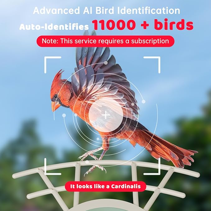Bird Feeder with Camera Solar Powered, Smart Bird Feeder with AI Identify, 2K HD Live View and Instant Notification, Ideal Gift for Bird Lover(with 32G Card)