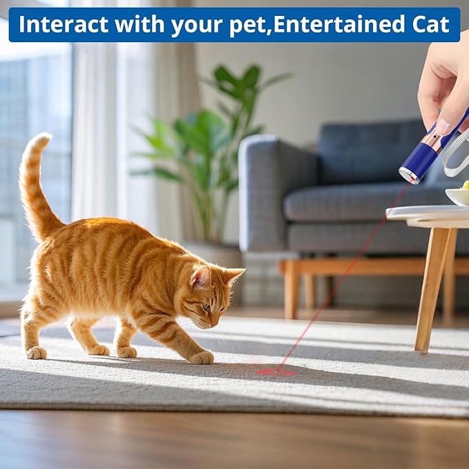 TBTeek Cat Toys for Indoor Cats, 2 Pieces, Rechargeable, 7 Adjustable Patterns, Interactive Kitten Pet Dog Red Dot Chase Light Toy for Cats Fun Playing Exercise（Blue）