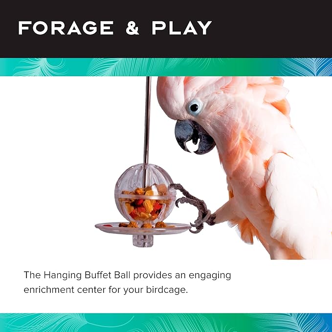 Featherland Paradise - Hanging Buffet Ball - Interactive Bird Toy and Treat Dispenser - Creative Foraging Systems - Ideal for Medium to Extra Large Birds