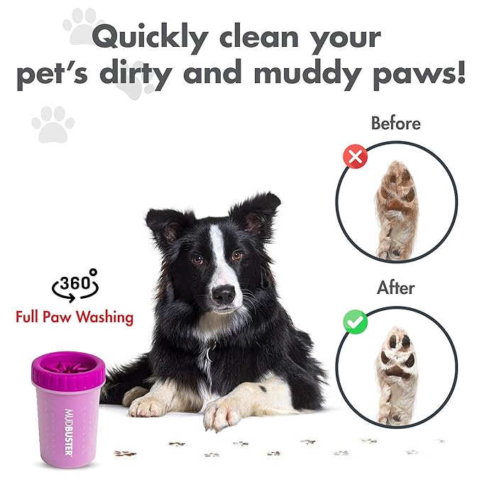Dexas MudBuster Portable Dog Paw Washer/Paw Cleaner, Medium, Fuchsia