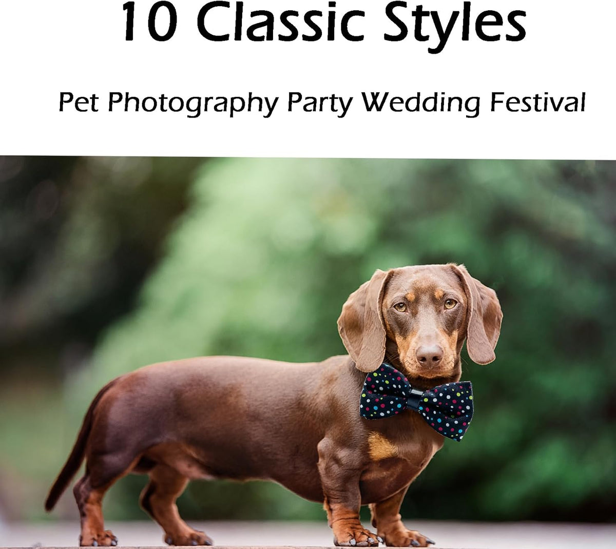 10 PCS Dogs Collar Elastic Attachment Bow Ties for Small Medium Large Pet/Cats Puppies Collar Charms Accessories Slides Bowties for Birthday Wedding Parties(Classic Large)