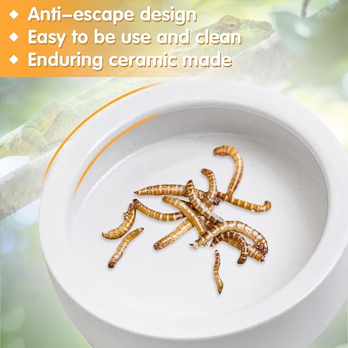 Tfwadmx 6 Pack Reptile Food Bowl, Mini Ceramic Water Feeder Bowl, Reptile Worm Feeding Dish for Lizard Turtle Bearded Dragon Anoles Crested Gecko Hermit Crab Leopard Gecko Chameleon Corn Snake