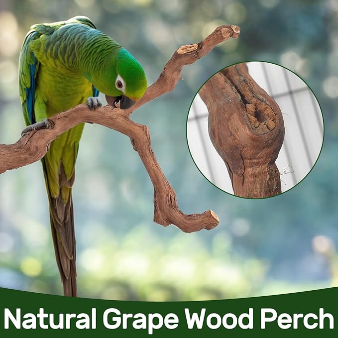 6-Piece Premium Bird Perch Stand with Natural Grape Wood Branch, Paw Grinding Fork, Chewing Stick, Cage Accessories for Parakeets, Budgies, Cockatiels, Finches, Lovebirds