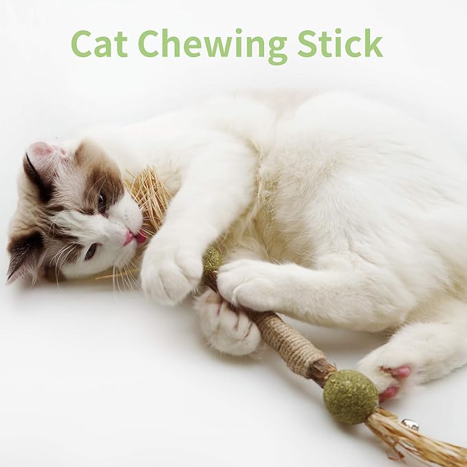 PAZ'S GIFT Catnip Toy Cat Toys Catnip Toy cat chew Toy cat Kicking silvervine Stick Teeth Cleaning Cute Kitten Teething Indoor Interactivecat Dental Care Matatabi (Catnip Balls)