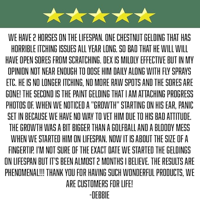 Lifespan Equine Herbal Anti-Inflammatory Supplement | Natural Joint & Mobility Support for Horses | Eases Swelling, Stiffness & Pain | Daily Powder Formula