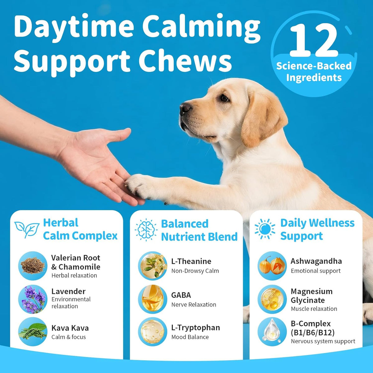 Calming Chews for Dogs – Calming Treats for Anxiety, Stress, Separation, Travel&Thunder, Relaxation & Focus Support with L-Theanine, Valerian Root, Chamomile & Ashwagandha, Bacon Flavor, 90Ct