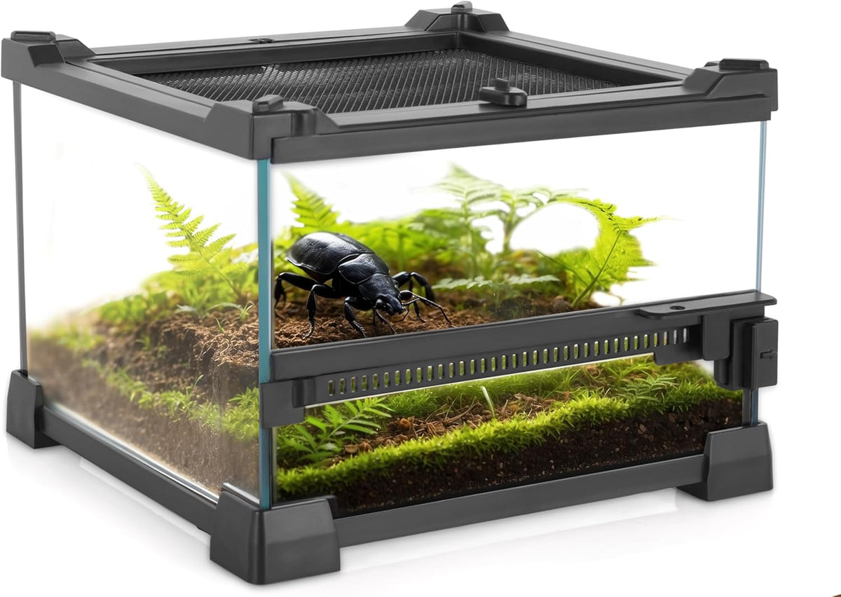 Mini Reptile Glass Terrarium 8"x8"x6" Durable Reptile Habitat Tank with Heat Resistant Aluminum Alloy Frame, Single Swinging Doors for no Jam by Sand and Other Debris