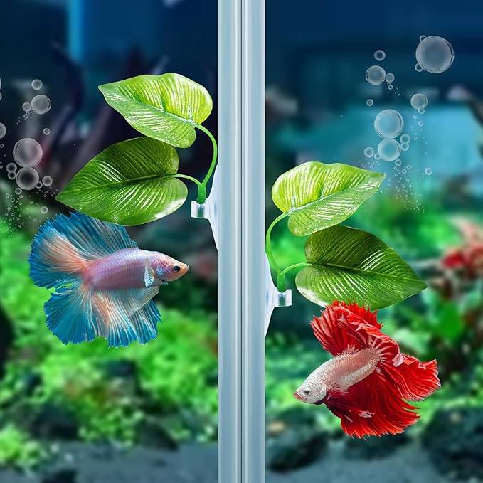 CousDUoBe 2 Pack Betta Fish Leaf Pad Improves Betta's Health by Simulating The Natural Habitat - Natural, Organic, Comfortable Rest Area for Fish Aquarium Ornaments