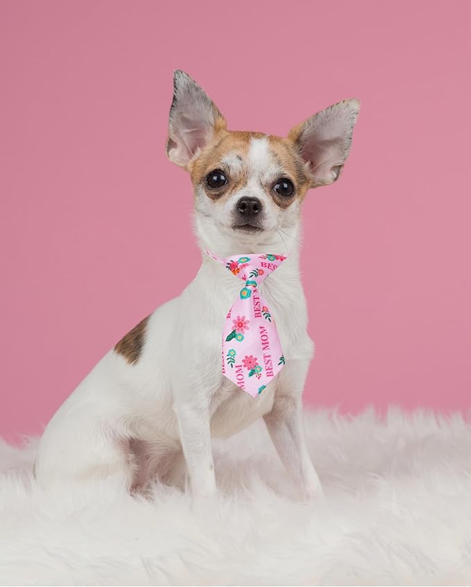 PET SHOW 10 Pack Holiday Small Dog Ties Neckties for Doggies Cats Adjustable Grooming Accessories Neck Ties Bowties Girl Boy Pets Festival Costumes Puppy Wedding Party Gift Favor