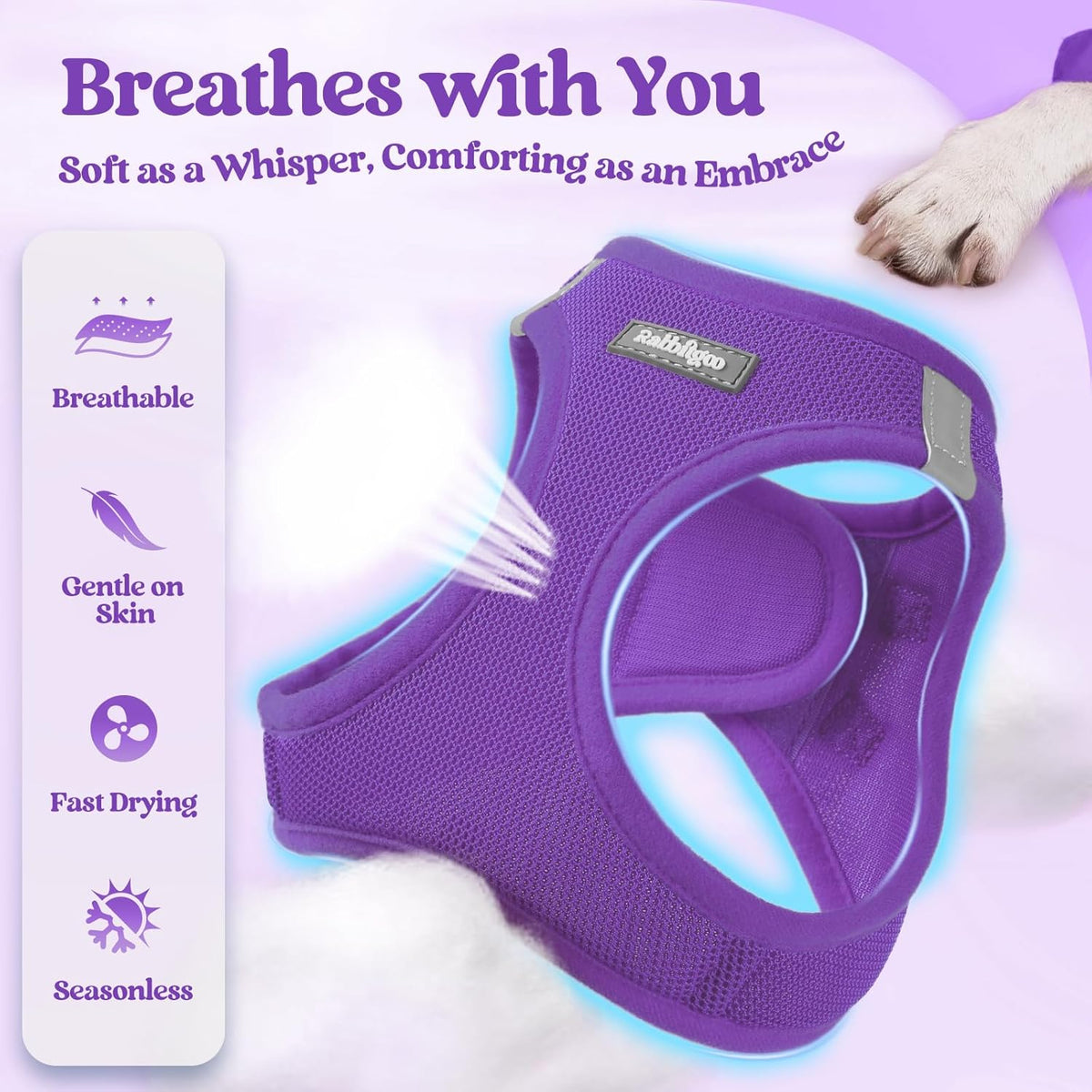 rabbitgoo Dog Harness Small Sized and Leash Set, Step in Soft Light Puppy Vest, Breathable Mesh Pet Harness, Reflective for Outdoor Safe Walking, Purple XL