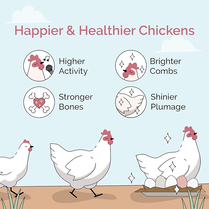 Mile Four Chicken Grit for Layer & Grower Chickens Age 8-20+ Weeks - 100% Natural Mineral Chicken Grit Quartzite, Poultry Grit, USA Mined, 4 lbs