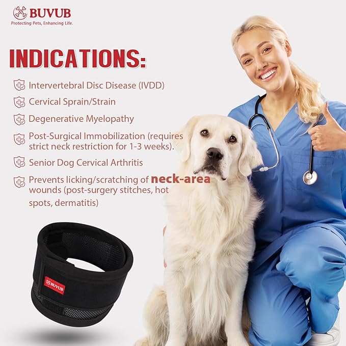 Adjustable Dog Neck Brace for Neck Pain & Injury Relief - Soft & Comfortable Support Collar for Dogs for Recovery After Surgery or Injury(Medium)