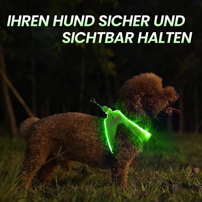 PceoTllar Light Up Dog Harness, LED No Pull Reflective Dog Harness, Flashing Lighted for Night Walking - Small/Medium, (Green M)