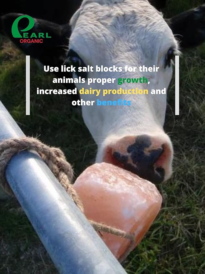 New 8 lbs Animal Himalayan Salt Lick on Rope for Horses, Deer, Rabbits, Cows and Other Livestock | Lick Salt for Deer | Digestive Aid for Animals | Horse Treats (8 lbs)