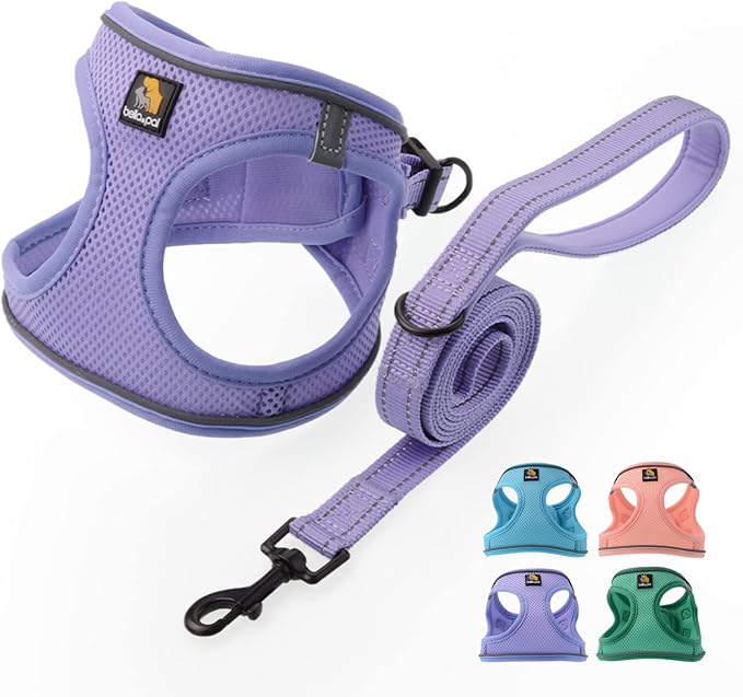 BELLA & PAL Step in Vest Harness for Small and Medium Dogs, No Pull Small Dog Harness with Leash Set, Comfortable Air Mesh Puppy Vest Harness with Reflective Strip (Lavender, XS)