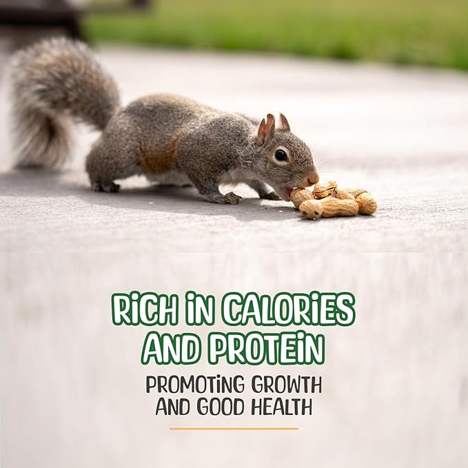 Premium Quality Raw Peanuts in Shell - 5 Pounds – All-Natural Food for Squirrels, Deer, Birds, and Other Wildlife Animals – Grown in The USA for Healthy Nutrition