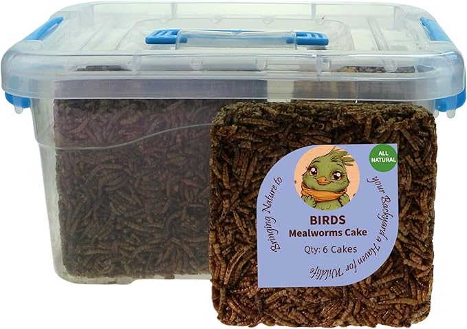 Wild Bird Mealworms Suet Cakes, High Protein Feed, Pack of 6, Size 4.5"x4.5"x1.0" Poultry Feed, Cattle Feed (4.5"x4.5"x1.0", Mealworms)