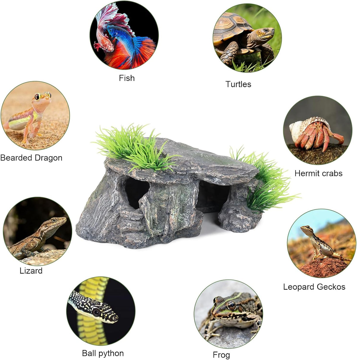 Premium Small Fish Tank Decorations, Reptile Tank Accessories, Turtle Tank Accessories, Natural Reptile Hide for Bearded Dragon, Professional Turtle Basking Platform (Small)