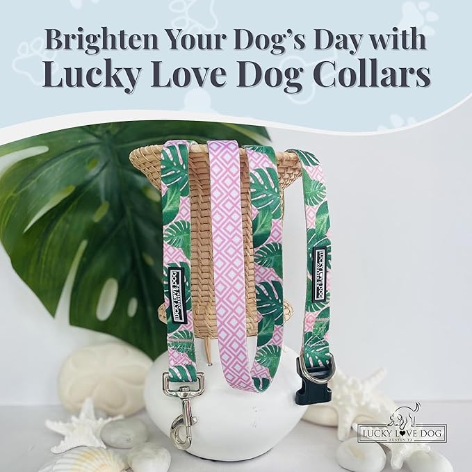 Lucky Love Dog, Tropical Matching Dog Collar & Leash Set, Soft & Comfy, Vivid Pink Color Collar and Leash for Female Male Dogs - (Large, Laguna Combo)