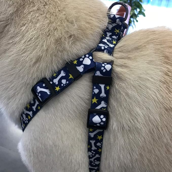 QQPETS Dog Harness Leash Set Adjustable Heavy Duty No Pull Halter Harnesses for Small Medium Large Breed Dogs Back Clip Anti-Twist Perfect for Walking (XS(12"-18" Chest Girth), Bone)