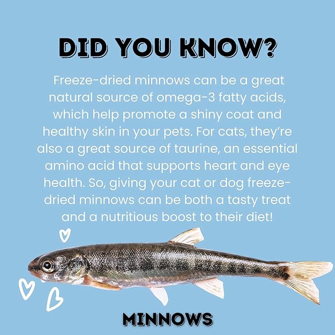 hotspot pets Freeze Dried Minnows Treats for Cats & Dogs (1 Pound Bag Over 1800 PCS!) (Made in USA) All Natural, High Protein, Rich in Omega-3s, Grain-Free,Perfect for Training, Topper or Snack