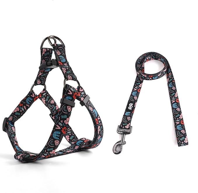 QQPETS Dog Harness Leash Set Adjustable Heavy Duty No Pull Halter Harnesses for Small Medium Large Breed Dogs Back Clip Anti-Twist Perfect for Walking