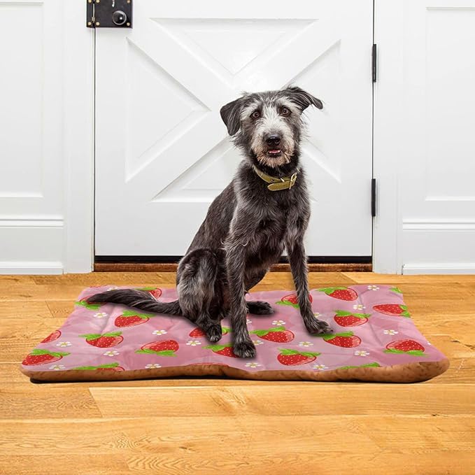 Strawberry Fruits Pet Bed Cute Dog Bed Mat Absorbing Non Slip Pad Pet Sleeping Mat for Small, Medium, and Large Dogs Puppy Cat 24 in x 18 in