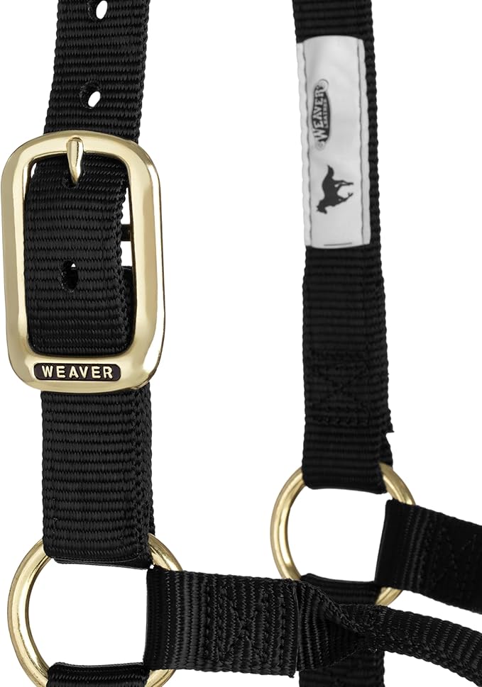 Weaver Equine Nylon Horse Halter, Triple-Ply Cheek Design, Original Non Adjustable Halters for Horses, Equine Tack,Average Size, Black