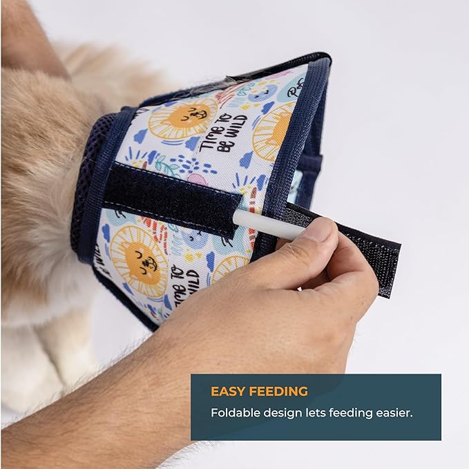Cat Cone Collar – Colorful Cat Pattern - Lightweight Recovery Cone for Cats, Anti-Lick & Anti-Scratch, Vet Recommended, Elizabethan Collar (Colorful, XS [Neck Girth: 8.6"-12.2"])