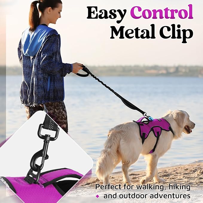 rabbitgoo Escape Proof Dog Harness, Soft Padded Full Body Pet Harness, Reflective Adjustable No Pull Vest with Lift Handle and Leash Clip for Large Dogs Walking Hiking Training, XL, Purple
