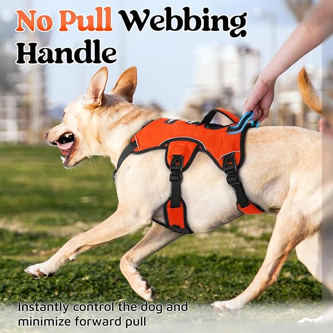 rabbitgoo Escape Proof Dog Harness, Soft Padded Full Body Pet Harness, Reflective Adjustable No Pull Vest with Lift Handle and Leash Clip for Large Dogs Walking Hiking Training, XL, Orange