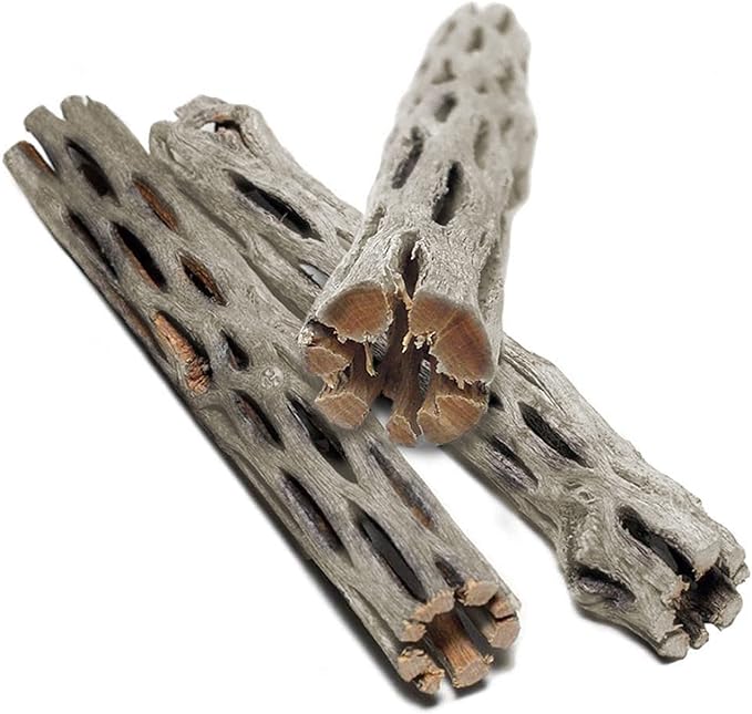 SunGrow Cholla Wood, 6” Climbing Logs, Chew Toy, Aquarium Fish, Snail, and Shrimp Driftwood, Tropical Freshwater Fish Décor, Adds Raw Beauty, 3 Pack