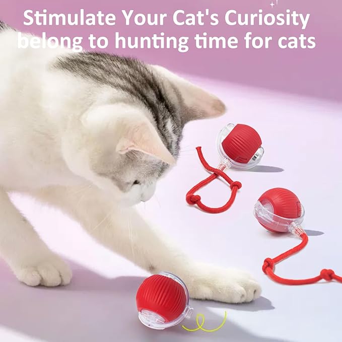Interactive Cat Toys for Indoor Cats, 360° Smart Automatic Kitten Toys Self Rolling Pet Ball, Moving Dog Cat Ball with Mesh Tail for Bored, USB Rechargeable (Red)