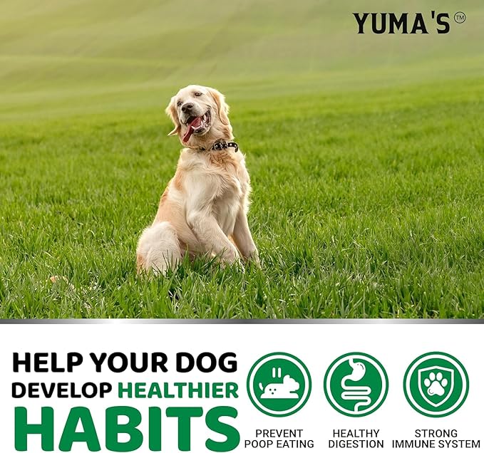 YUMA'S No Poo Chews for Dogs - 170 Count - Coprophagia No Poop Eating Deterrent for Dogs - Stop Eating Poop for Canine - Gut Health - Probiotics & Digestive Enzymes Supplement - Made in USA