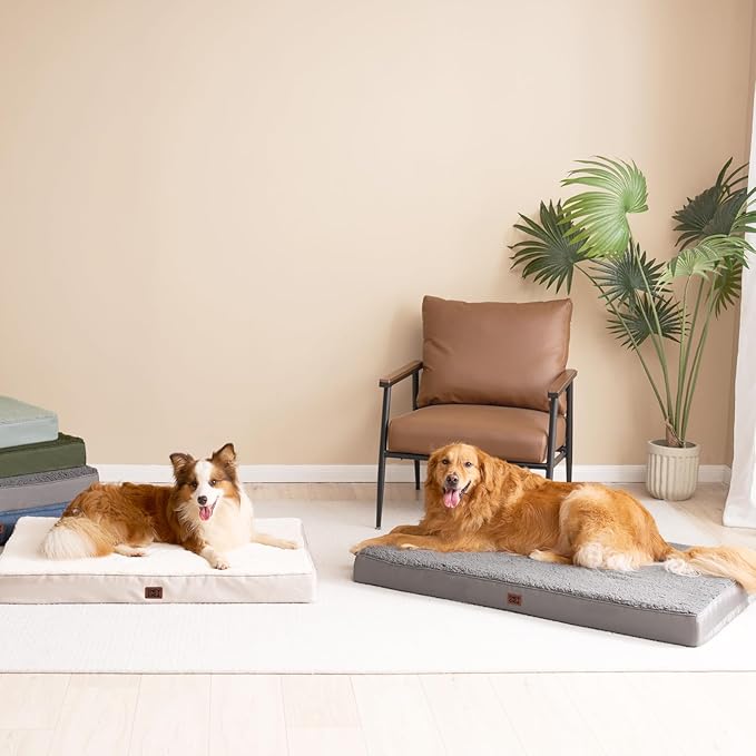 EHEYCIGA Orthopedic XXL Dog Beds for Jumbo Dogs with Removable Washable Cover,Light Grey, 50x36