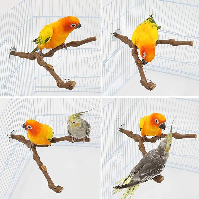 PINVNBY Natural Parrot Perch Bird Stand Pole Wild Grape Stick Paw Grinding Fork Parakeet Climbing Standing Branches Toy Chewable Cage Accessories for Small Lovebirds Budgies Cockatiels 2PCS