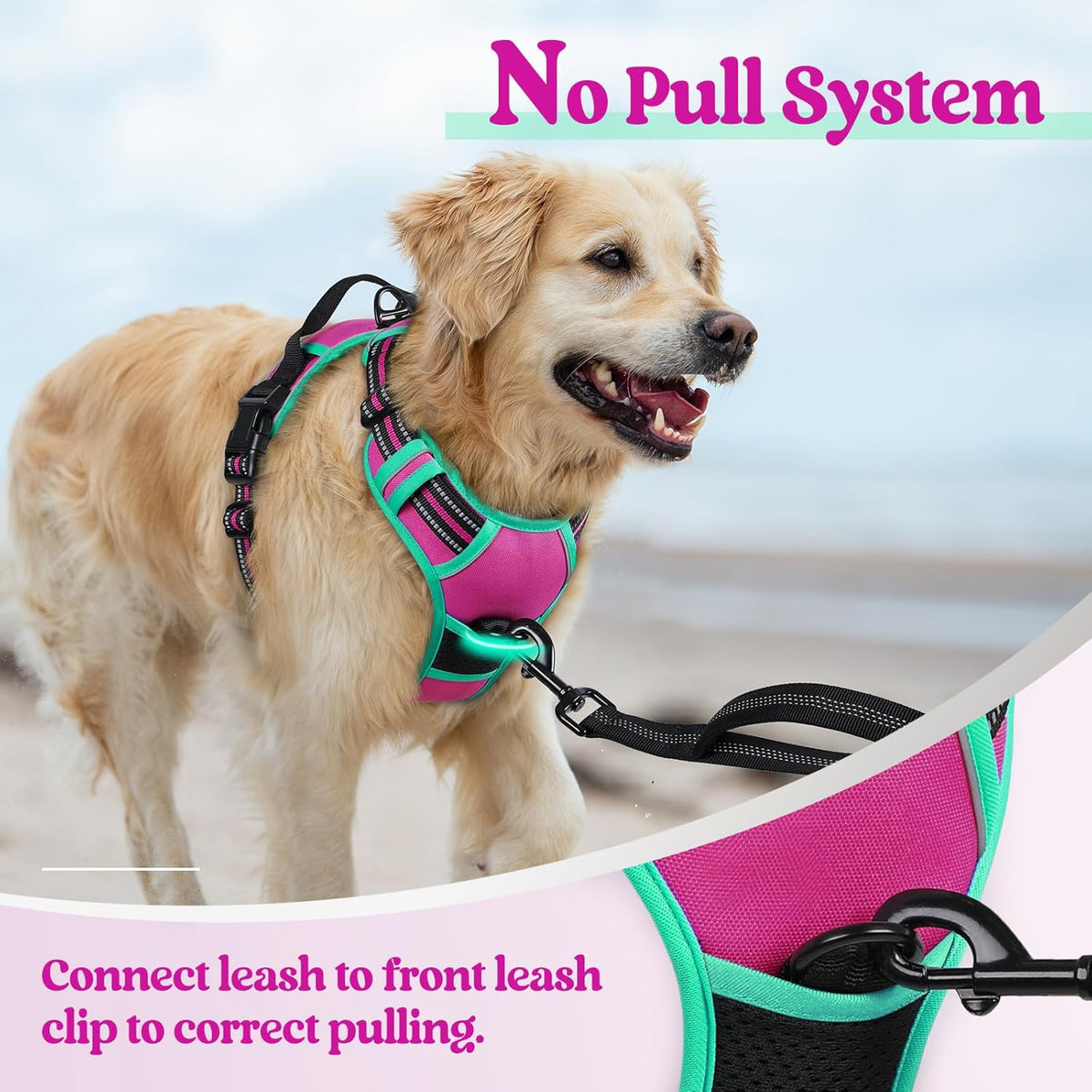 rabbitgoo Dog Harness No Pull with 2 Leash Clips, Adjustable Soft Padded, Reflective Oxford No Choke Pet Vest with Easy Control Handle for Large Dogs, Hot Pink & Turquoise, XL