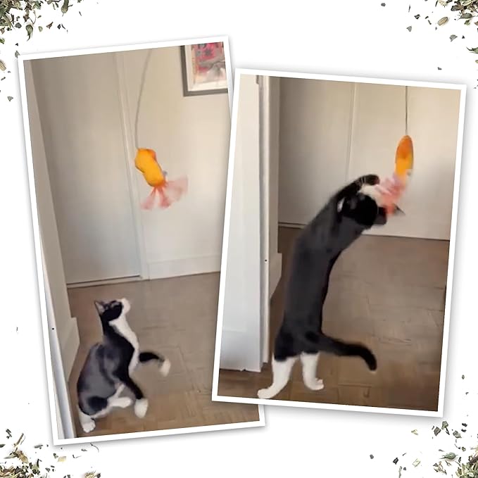 Meowijuana Jump 'n' Jamb Door Hanging Cat Toy | Deep Sea Squid | Refillable Interactive Catnip Toy | Promotes Play and Cat Health | Includes Potent Catnip Grown in North America