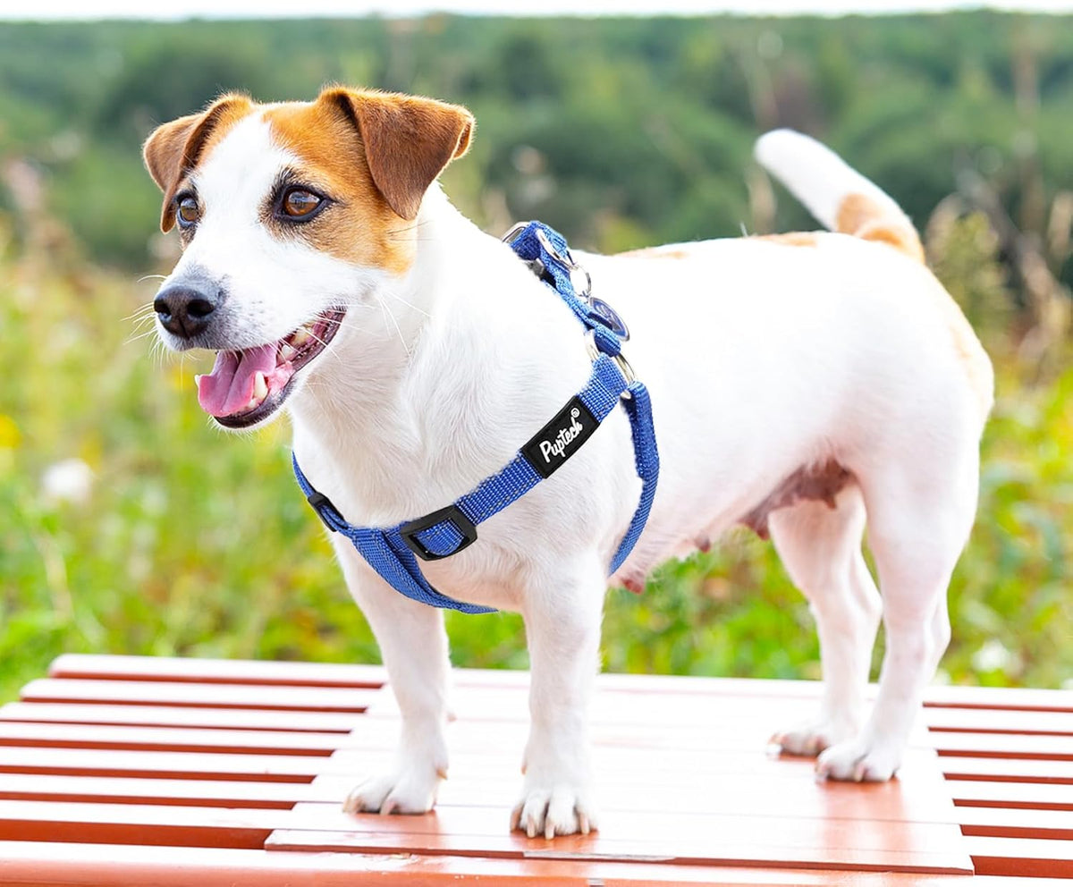 PUPTECK No Pull Dog Harness Soft Adjustable Basic Nylon Step in Puppy Vest Outdoor Walking with ID Tag, Reflecive Navy Blue, S